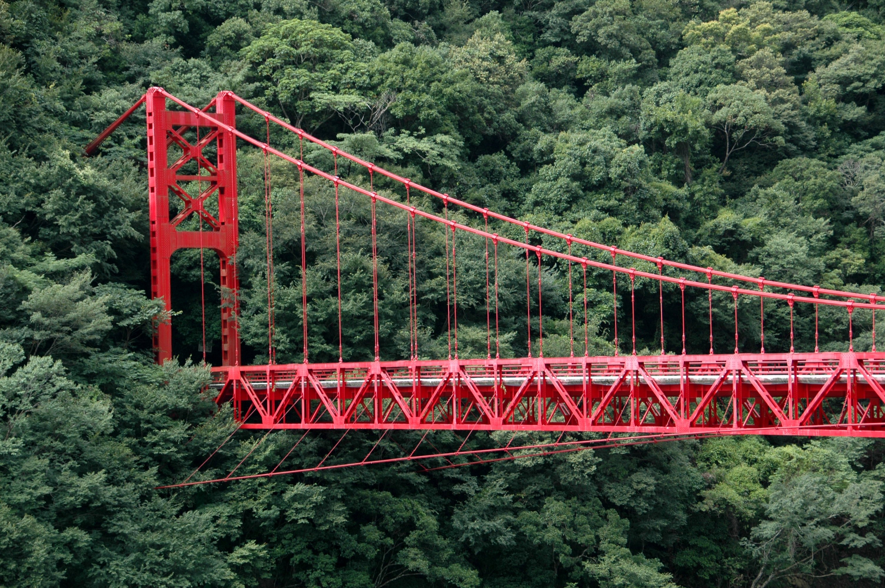 200707187165 Suspension bridge in trees, near Lalashan